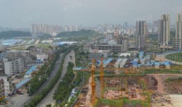 玉林中鼎房产爆料事件视频,揭露行业乱象背后的真相